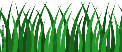 Bild auf Leinwand Green grass