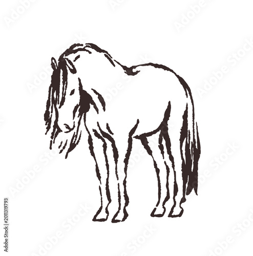 Horse standing, doodle outline drawing. Handdrawn contour equine animal in sc...