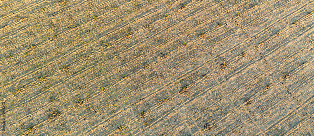 Fototapeta premium Diagonal top down aerial of a bare agricultural dirt field prepared for new planting