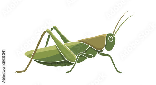 Photos Stylized green grasshopper illustration isolated on white background