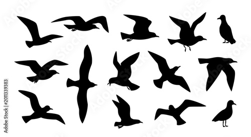 Bild auf Leinwand Seagull silhouettes vector illustration with black flying gull birds, coastal se
