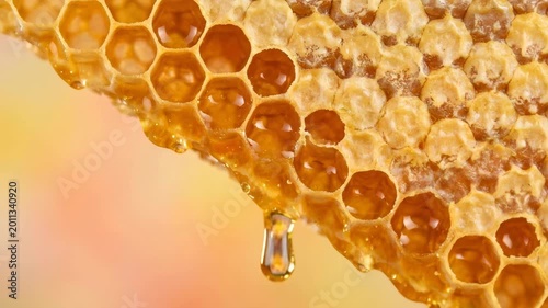 A close-up of golden honeycombs with dripping honey is visible. The background is made in soft, warm tones of orange and yellow.