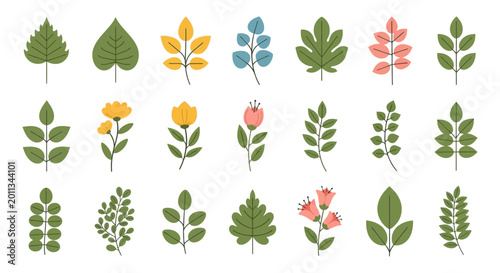 Fotografie Collection of various leaf and flower illustrations.
