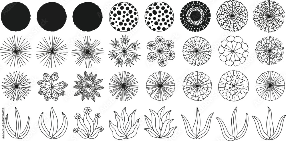 Fototapeta premium Abstract geometric flower and plant patterns Vector