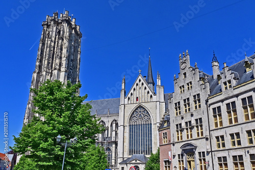 Canvastavla Malines (Mechelen): la Grote Markt (Piazza del Mercato) e la Cattedrale di San R