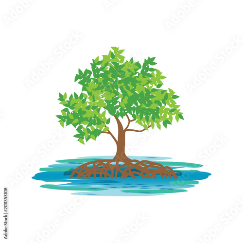 Mangroves tree on salty water vector.
