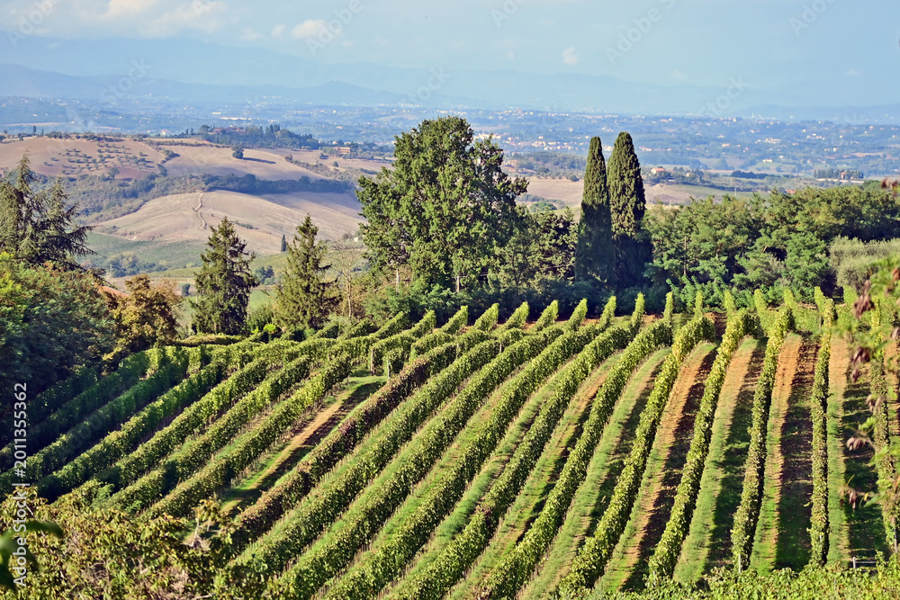 Naklejka premium Montepulciano, veduta della valle dalla Chiesa o Santuario della Madonna di San Biagio, Val d'Orcia, Toscana