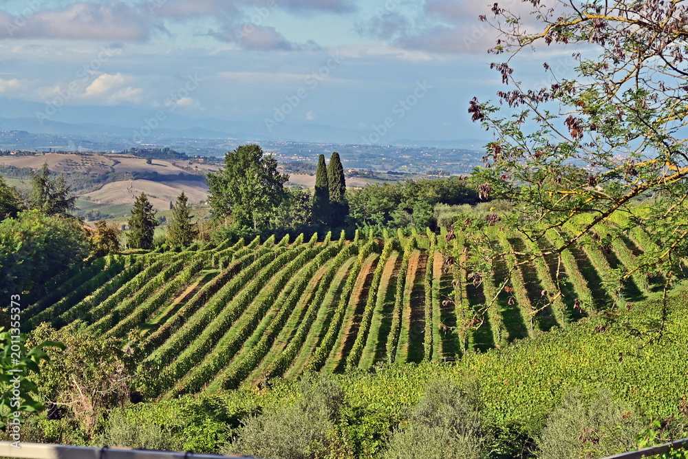 Naklejka premium Montepulciano, veduta della valle dalla Chiesa o Santuario della Madonna di San Biagio, Val d'Orcia, Toscana