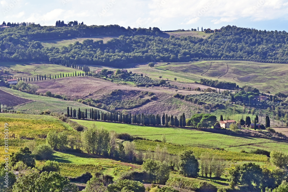 Naklejka premium Montepulciano, veduta della valle dalla Chiesa o Santuario della Madonna di San Biagio, Val d'Orcia, Toscana