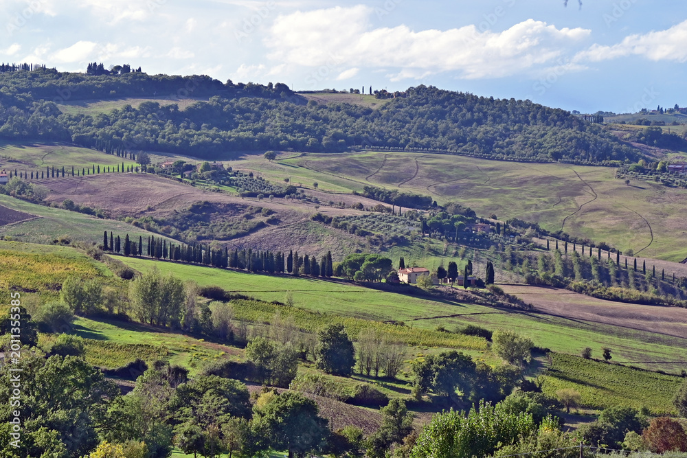 Naklejka premium Montepulciano, veduta della valle dalla Chiesa o Santuario della Madonna di San Biagio, Val d'Orcia, Toscana