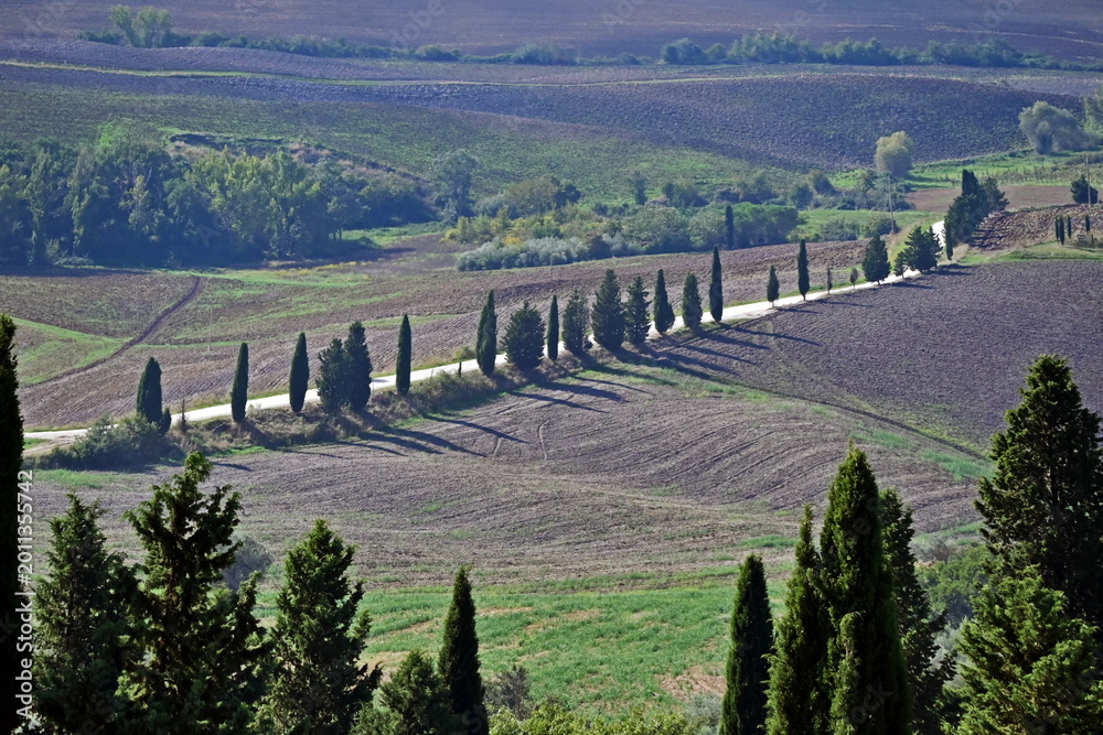 Obraz premium Pienza, le colline della Val d'Orcia dalla loggia di Palazzo Piccolomini, Val d'Orcia, Toscana