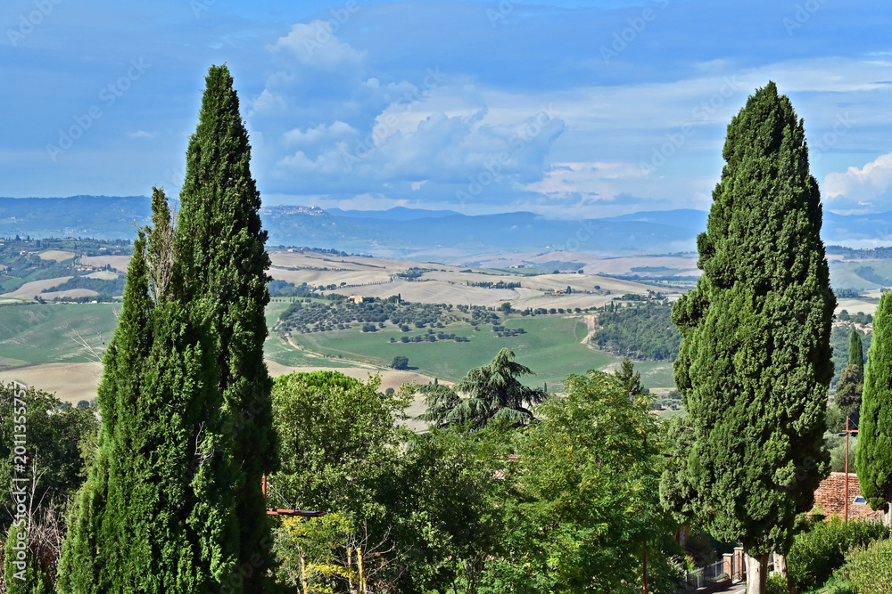 Obraz premium Pienza, le colline della Val d'Orcia dalla loggia di Palazzo Piccolomini, Val d'Orcia, Toscana
