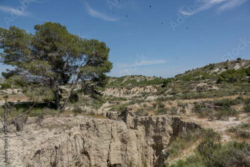 Foto Rambla de las Grutas is a natural ravine situated in the Baños y Mendigo region
