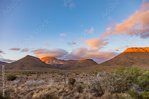 Bild auf Leinwand View of Arid desert landscape in the Karoo