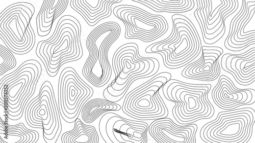 abstract topographic contour lines pattern monochrome organic map background vector design texture art