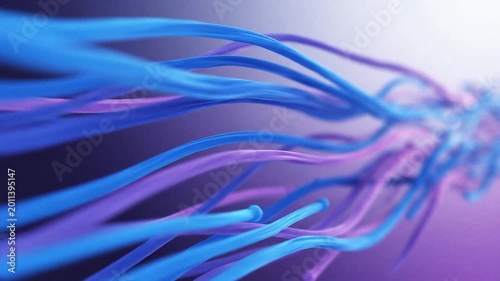 Abstract data flow background animation, glowing curved lines, blue and purple colors