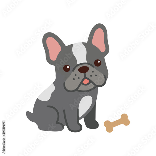 Cute french bulldog with bone vector illustration, adorable grey frenchie pet character