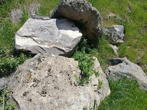 Stone in the grass