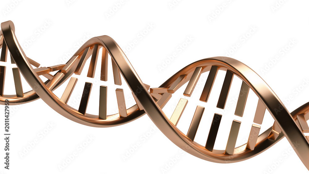 Fototapeta premium Metallic copper DNA helix structure, isolated on transparent background