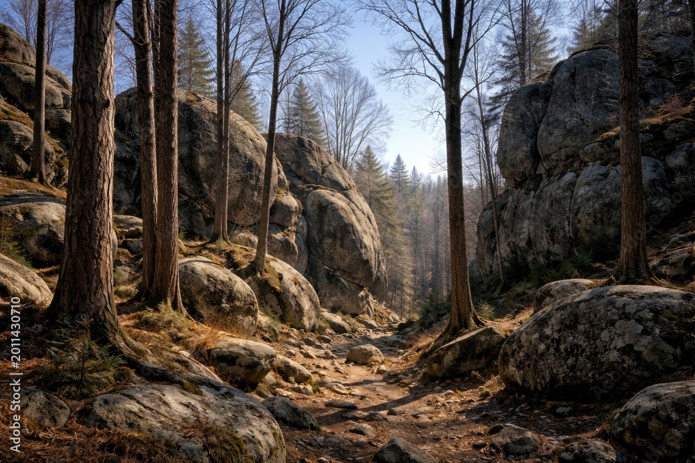 Fototapeta premium quiet natural scene showcasing stark trees around massive stone formations under clear daylight