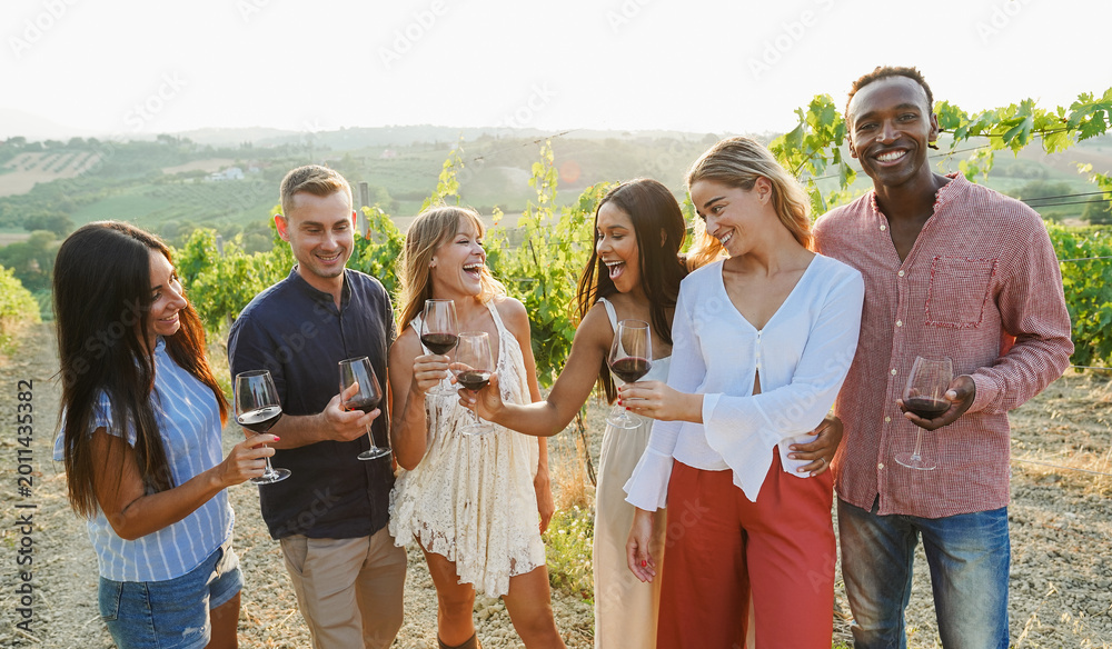 Obraz premium Happy friends cheering with red wine at countryside summer event - Multiracial people having fun during vacation - Travel and holidays concept - Focus on faces