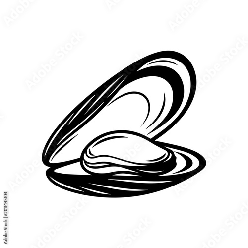 Illustration of an open mussel shell showing the inside