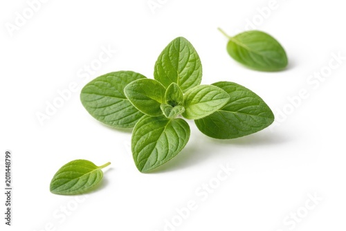 Minimalist white background with separate oregano leaves in focus