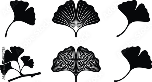 Canvas-taulu Ginkgo biloba leaf silhouette and line art set featuring botanical foliage icons