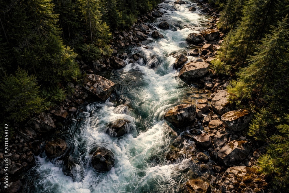 Fototapeta premium top down shot showing a dynamic river flowing in an untamed region