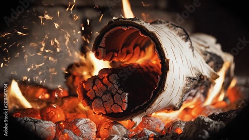 Close Up of Fiery Ember and Burning Wood Log with White Bark in a Fireplace with Hot Glowing Coals and Flames