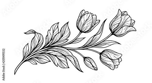 Elegant black and white tulips and leaves illustration