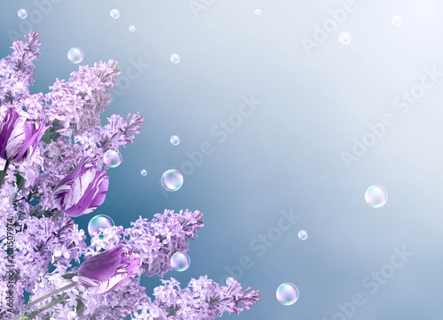 Lilac and tulips  arranged on a soft pastel background with light glowing effect and water bubbles. Romantic floral design with copy space