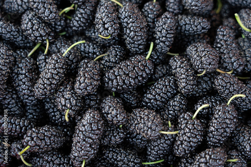 Bild auf Leinwand Fresh black mulberries displaying healthy ripe fruit background