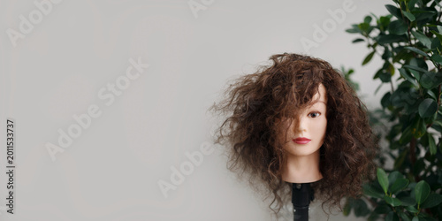 Tableau sur toile Training mannequin head with curly frizzy hair on a stand in a bright beauty salon