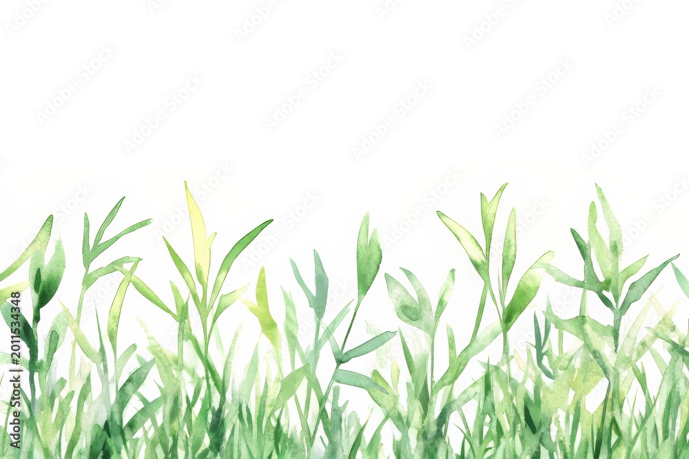 Fototapeta premium Green grass and plants grow under bright light in a simple setting