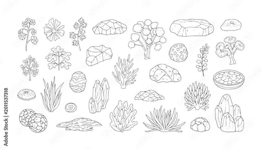 Obraz premium Collection of hand drawn botanical and geological plant flower leaf branch stone