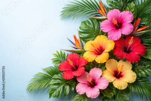 Tropical hibiscus flower arrangement on light blue minimal backdrop with copy space