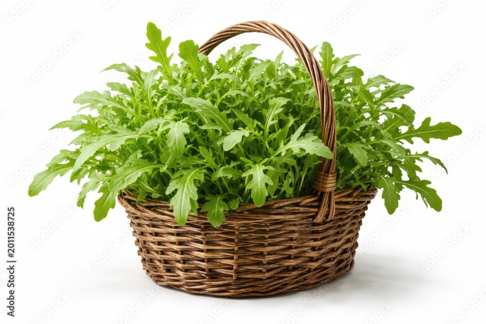 Fototapeta premium Isolated organic arugula vegetable tree in rustic basket on white background