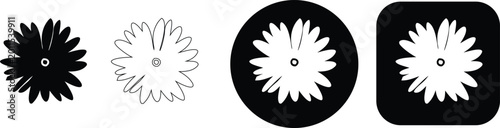 Photos Flower with numerous spiky petals in black and white styles on a white backgroun
