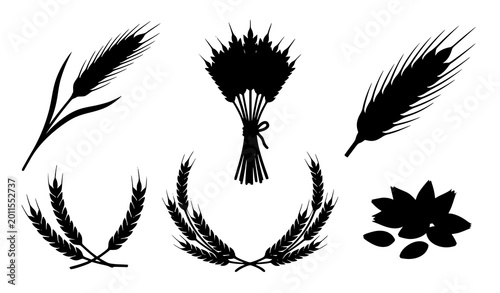 Foto Flat wheat grain icons vector agriculture harvest plant illustration