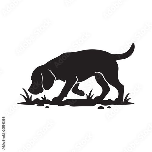 Slika na platnu Black silhouette of a beagle dog sniffing grass and ground