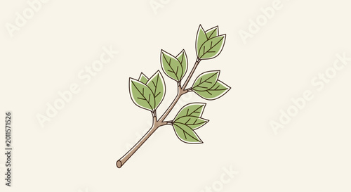 Foto Green leafy branch with small leaves.