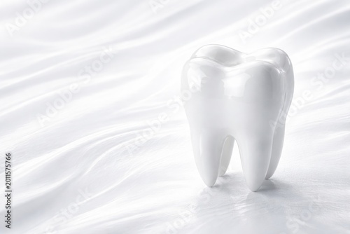 Glossy dental tooth model d...
