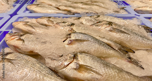 Tableau sur toile Fresh gilthead seabream Sparus aurata on ice in seafood market display, raw whole fish with crushed ice, Mediterranean cuisine, commercial fishing and fresh seafood
