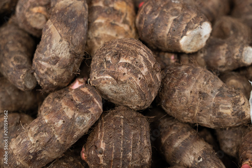 Slika na platnu Raw taro roots showing organic starchy tubers