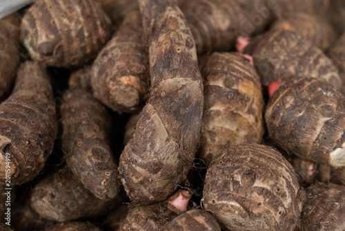 Fotografija Raw taro roots showing organic starchy tubers