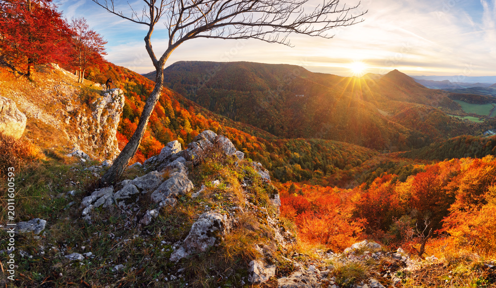 Fototapeta premium Aerial view of a mountains and hills landscape with vineyard and countryside at sunset in autumn colours, Slovakia