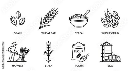 Collection of simple line art icons representing grains and agriculture