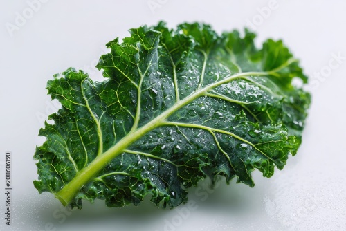 Fresh kale leaf isolated on white background with vibrant green color and crisp texture