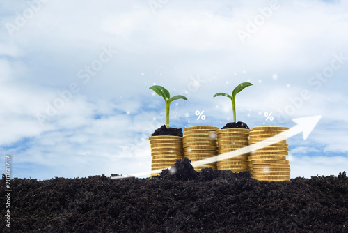 Obraz na plátně Gold coin stacks with young green seedlings growing from soil illustrate sustainable financial growth and investment success under bright sky